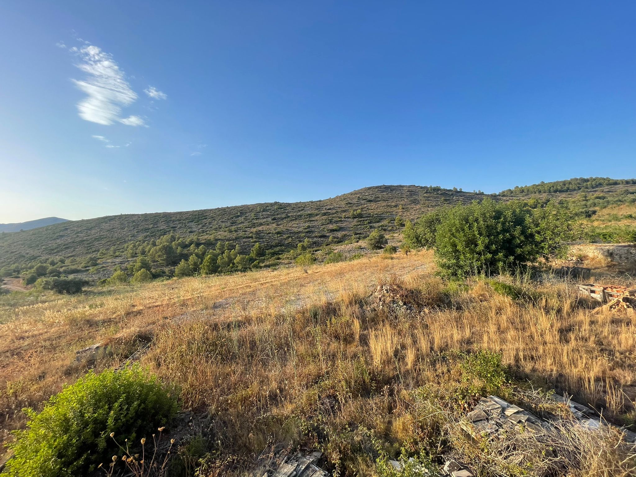 finca zum verkauf in Benissa